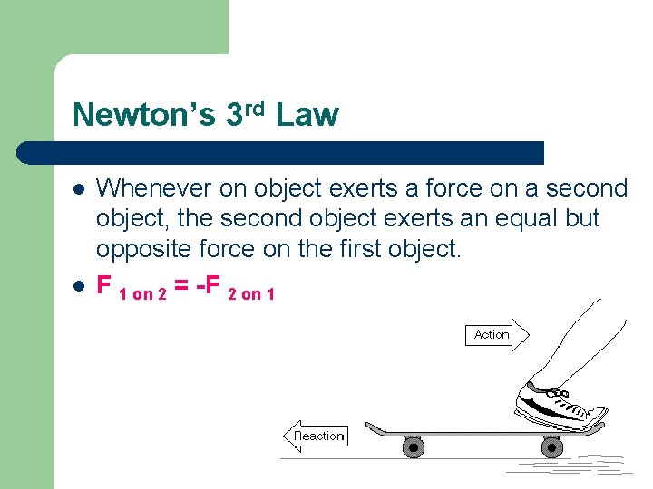 Newton’s 3 rd Law l l Whenever on object exerts a force on a