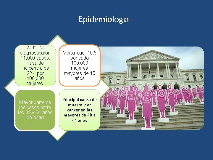 Epidemiología 2002: se diagnosticaron 11, 000 casos. Tasa de incidencia de 22. 4 por