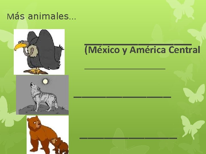 Más animales… ______ (México y América Central ____________ 