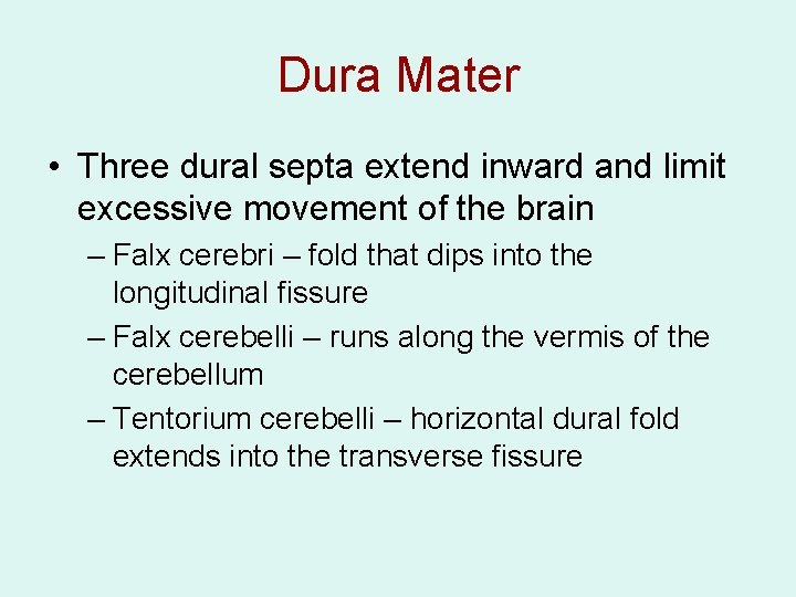 Dura Mater • Three dural septa extend inward and limit excessive movement of the