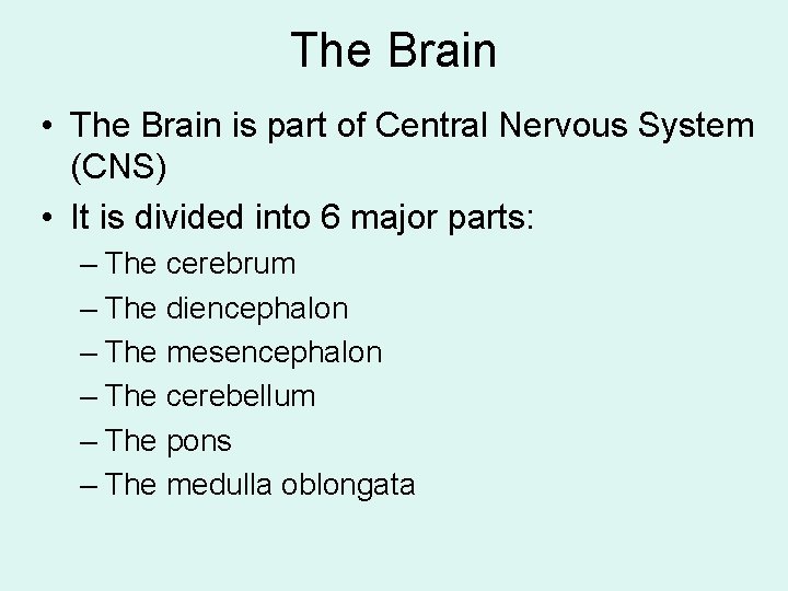 The Brain • The Brain is part of Central Nervous System (CNS) • It