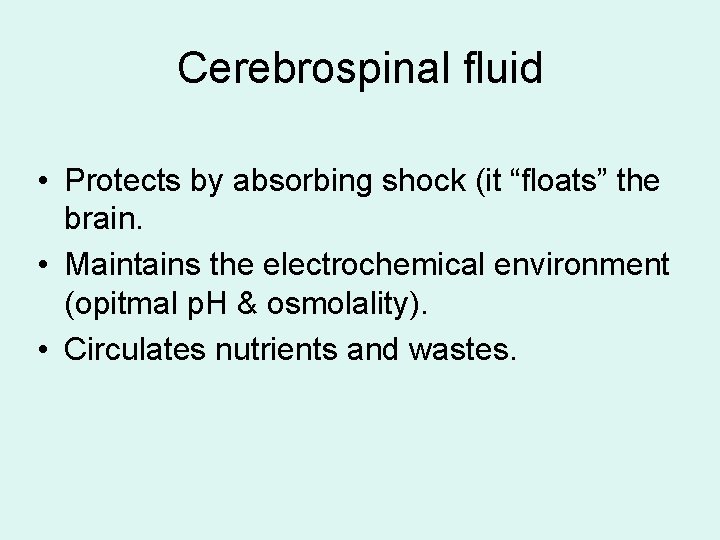 Cerebrospinal fluid • Protects by absorbing shock (it “floats” the brain. • Maintains the