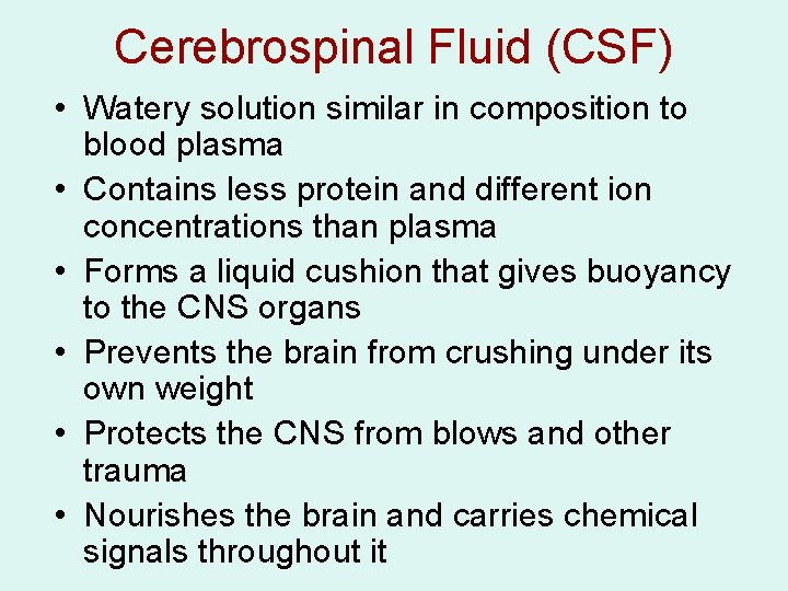 Cerebrospinal Fluid (CSF) • Watery solution similar in composition to blood plasma • Contains