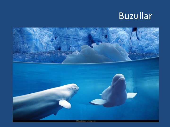 Buzullar Buzullar