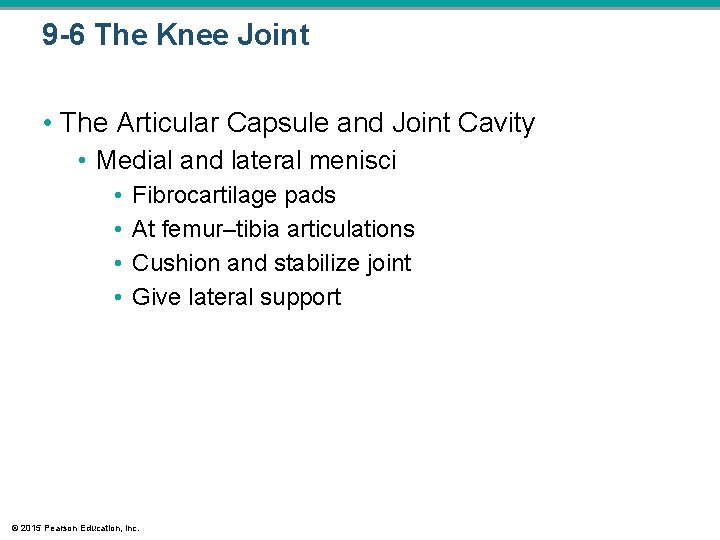 9 -6 The Knee Joint • The Articular Capsule and Joint Cavity • Medial 9 -6 The Knee Joint • The Articular Capsule and Joint Cavity • Medial