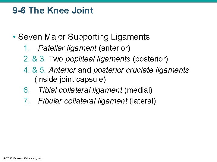 9 -6 The Knee Joint • Seven Major Supporting Ligaments 1. Patellar ligament (anterior) 9 -6 The Knee Joint • Seven Major Supporting Ligaments 1. Patellar ligament (anterior)