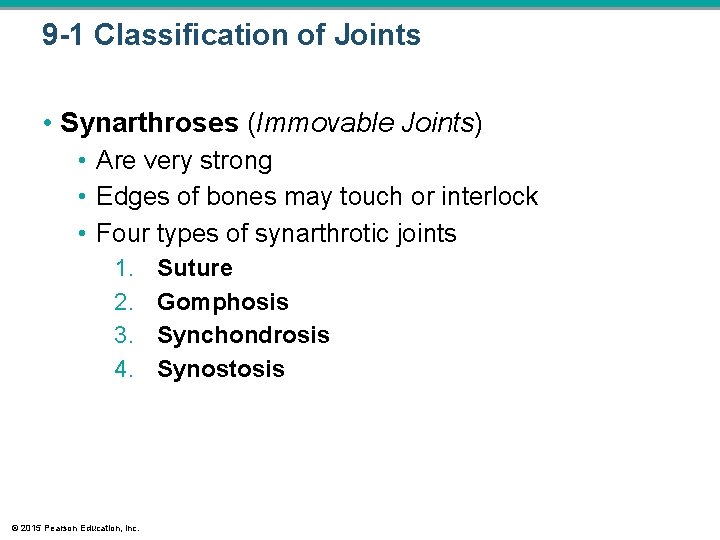 9 -1 Classification of Joints • Synarthroses (Immovable Joints) • Are very strong • 9 -1 Classification of Joints • Synarthroses (Immovable Joints) • Are very strong •