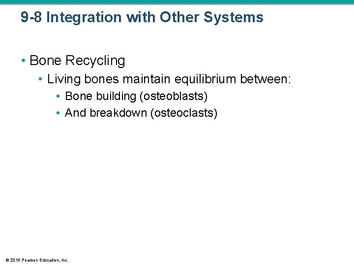 9 -8 Integration with Other Systems • Bone Recycling • Living bones maintain equilibrium 9 -8 Integration with Other Systems • Bone Recycling • Living bones maintain equilibrium