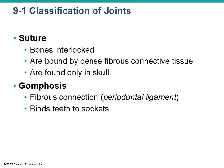 9 -1 Classification of Joints • Suture • Bones interlocked • Are bound by 9 -1 Classification of Joints • Suture • Bones interlocked • Are bound by