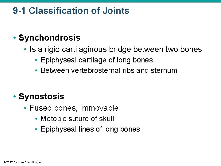 9 -1 Classification of Joints • Synchondrosis • Is a rigid cartilaginous bridge between 9 -1 Classification of Joints • Synchondrosis • Is a rigid cartilaginous bridge between