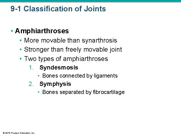 9 -1 Classification of Joints • Amphiarthroses • More movable than synarthrosis • Stronger 9 -1 Classification of Joints • Amphiarthroses • More movable than synarthrosis • Stronger