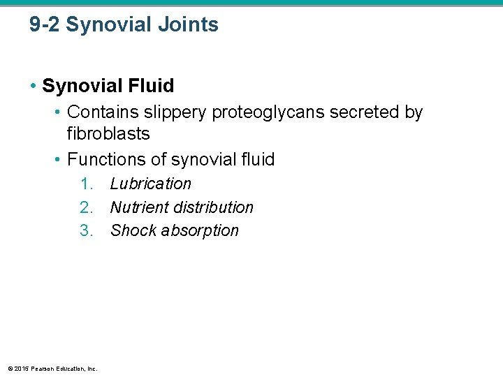 9 -2 Synovial Joints • Synovial Fluid • Contains slippery proteoglycans secreted by fibroblasts 9 -2 Synovial Joints • Synovial Fluid • Contains slippery proteoglycans secreted by fibroblasts