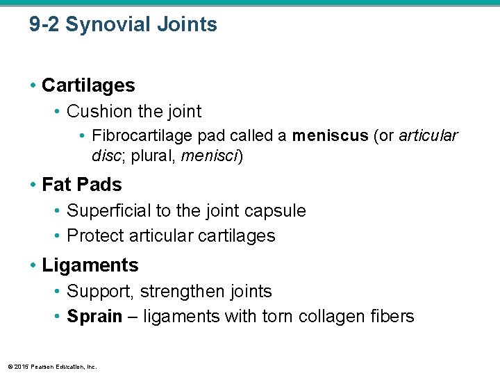 9 -2 Synovial Joints • Cartilages • Cushion the joint • Fibrocartilage pad called 9 -2 Synovial Joints • Cartilages • Cushion the joint • Fibrocartilage pad called