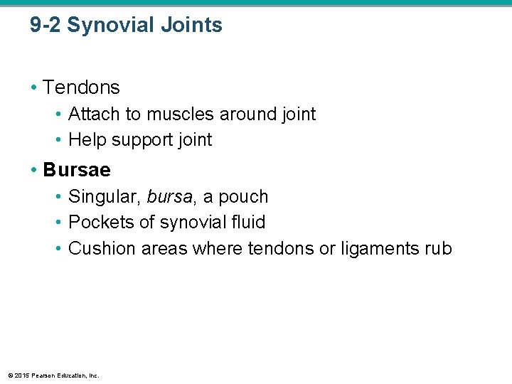 9 -2 Synovial Joints • Tendons • Attach to muscles around joint • Help 9 -2 Synovial Joints • Tendons • Attach to muscles around joint • Help