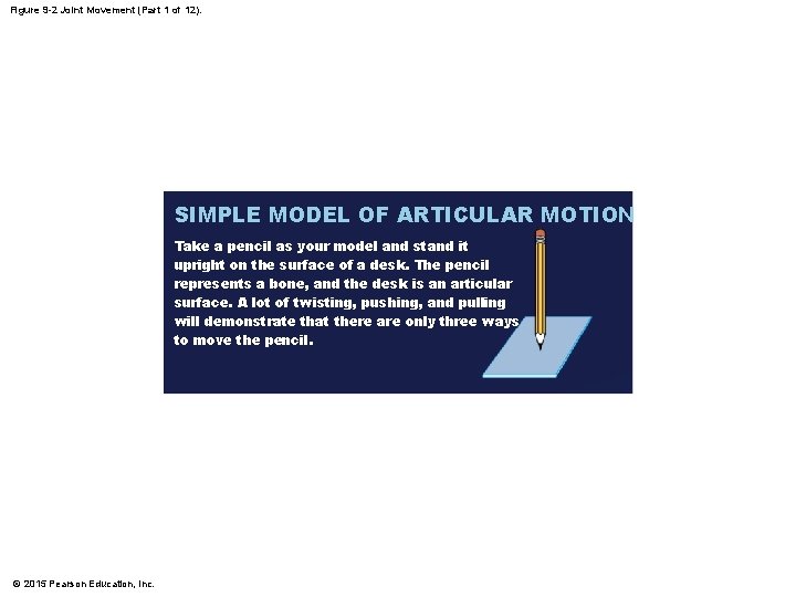 Figure 9 -2 Joint Movement (Part 1 of 12). SIMPLE MODEL OF ARTICULAR MOTION Figure 9 -2 Joint Movement (Part 1 of 12). SIMPLE MODEL OF ARTICULAR MOTION