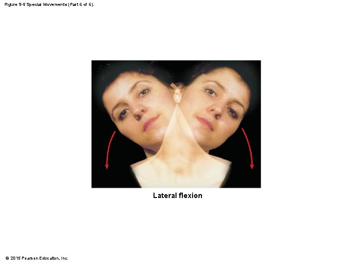 Figure 9 -5 Special Movements (Part 6 of 6). Lateral flexion © 2015 Pearson Figure 9 -5 Special Movements (Part 6 of 6). Lateral flexion © 2015 Pearson