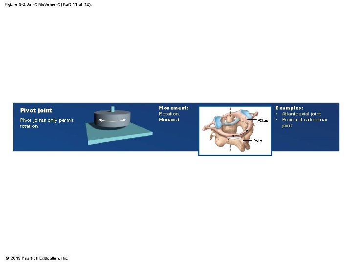 Figure 9 -2 Joint Movement (Part 11 of 12). Pivot joints only permit rotation. Figure 9 -2 Joint Movement (Part 11 of 12). Pivot joints only permit rotation.