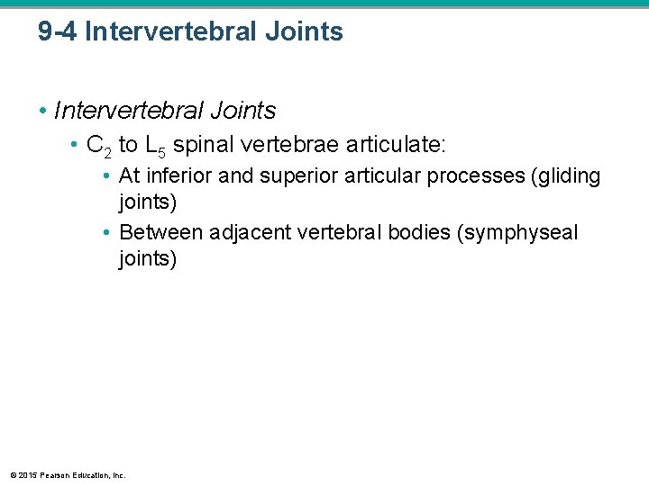 9 -4 Intervertebral Joints • C 2 to L 5 spinal vertebrae articulate: • 9 -4 Intervertebral Joints • C 2 to L 5 spinal vertebrae articulate: •