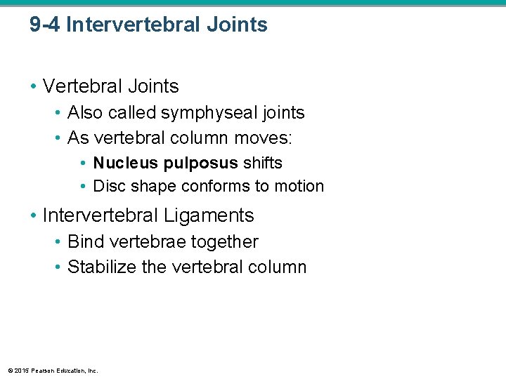 9 -4 Intervertebral Joints • Vertebral Joints • Also called symphyseal joints • As 9 -4 Intervertebral Joints • Vertebral Joints • Also called symphyseal joints • As