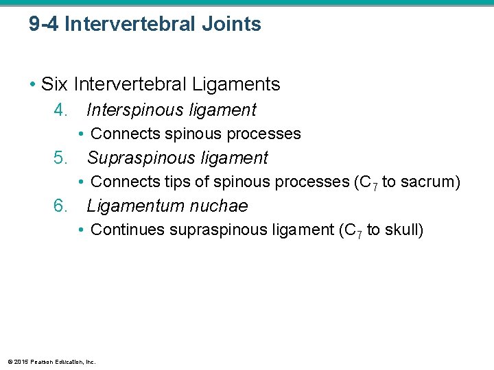 9 -4 Intervertebral Joints • Six Intervertebral Ligaments 4. Interspinous ligament • Connects spinous 9 -4 Intervertebral Joints • Six Intervertebral Ligaments 4. Interspinous ligament • Connects spinous