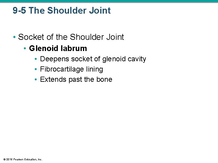 9 -5 The Shoulder Joint • Socket of the Shoulder Joint • Glenoid labrum 9 -5 The Shoulder Joint • Socket of the Shoulder Joint • Glenoid labrum