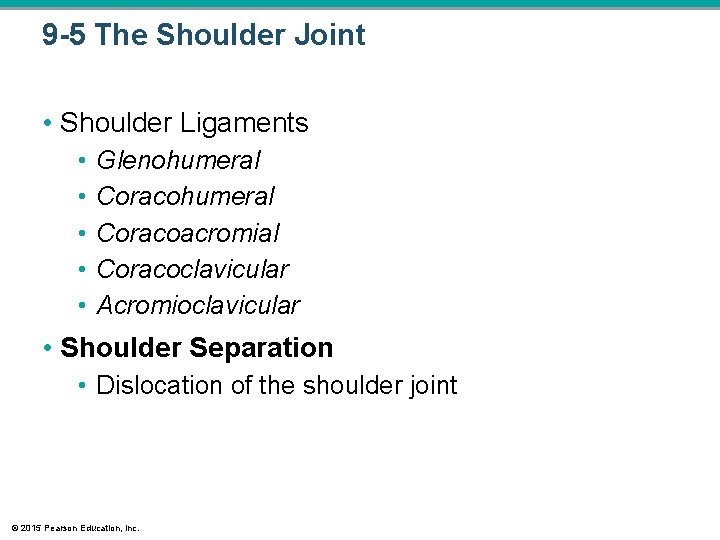 9 -5 The Shoulder Joint • Shoulder Ligaments • • • Glenohumeral Coracoacromial Coracoclavicular 9 -5 The Shoulder Joint • Shoulder Ligaments • • • Glenohumeral Coracoacromial Coracoclavicular