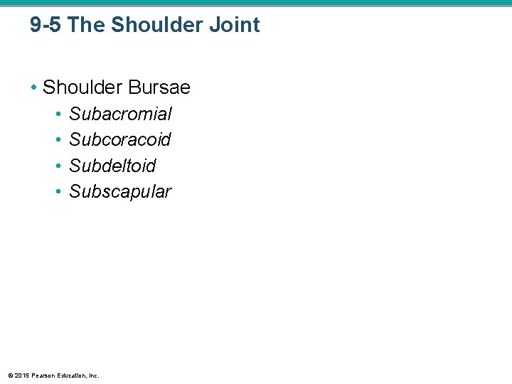9 -5 The Shoulder Joint • Shoulder Bursae • • Subacromial Subcoracoid Subdeltoid Subscapular 9 -5 The Shoulder Joint • Shoulder Bursae • • Subacromial Subcoracoid Subdeltoid Subscapular