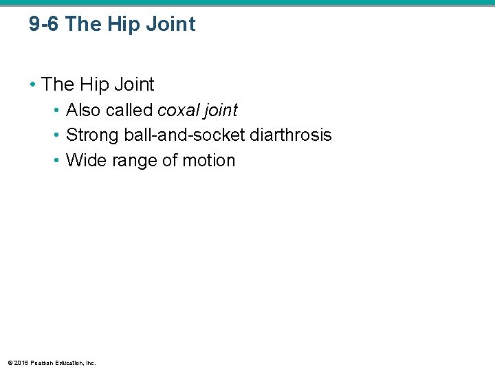 9 -6 The Hip Joint • Also called coxal joint • Strong ball-and-socket diarthrosis 9 -6 The Hip Joint • Also called coxal joint • Strong ball-and-socket diarthrosis