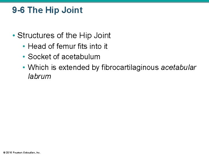 9 -6 The Hip Joint • Structures of the Hip Joint • Head of 9 -6 The Hip Joint • Structures of the Hip Joint • Head of