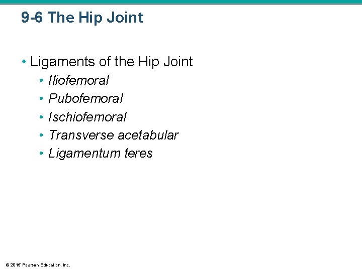 9 -6 The Hip Joint • Ligaments of the Hip Joint • • • 9 -6 The Hip Joint • Ligaments of the Hip Joint • • •
