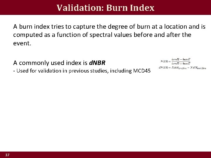 Validation: Burn Index A burn index tries to capture the degree of burn at