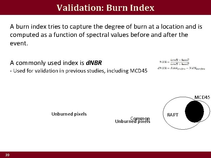 Validation: Burn Index A burn index tries to capture the degree of burn at