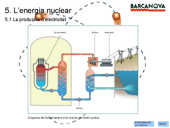 5. L’energia nuclear 5. 1 La producció d’electricitat Esquema del funcionament d’un reactor de