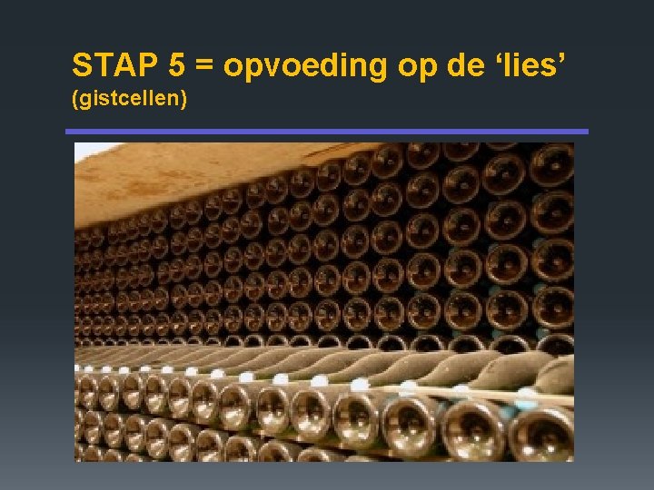 STAP 5 = opvoeding op de ‘lies’ (gistcellen) 