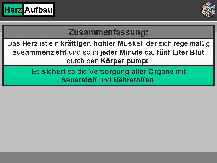 Herz Aufbau Zusammenfassung: Das Herz ist ein kräftiger, hohler Muskel, der sich regelmäßig zusammenzieht