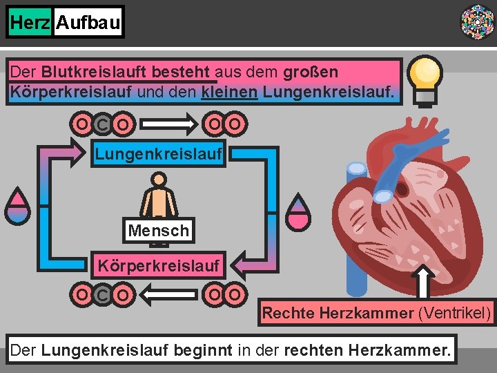 Herz Aufbau Der Blutkreislauft besteht aus dem großen Körperkreislauf und den kleinen Lungenkreislauf. O