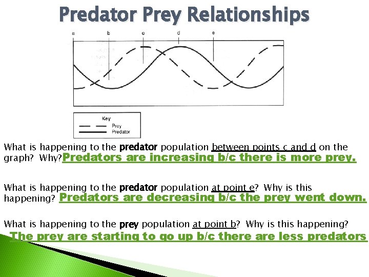 Predator Prey Relationships What is happening to the predator population between points c and