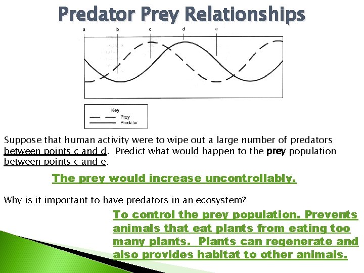 Predator Prey Relationships Suppose that human activity were to wipe out a large number