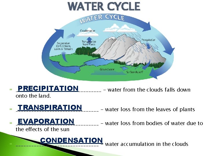 WATER CYCLE PRECIPITATION _________________ - water from the clouds falls down onto the land.