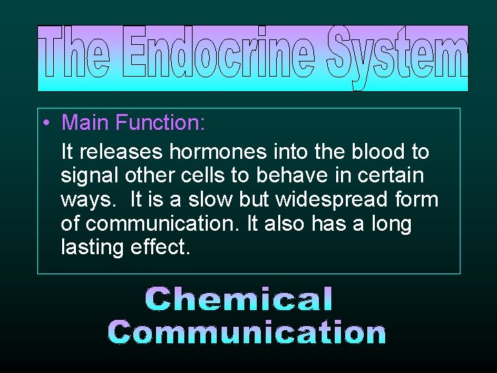  • Main Function: It releases hormones into the blood to signal other cells