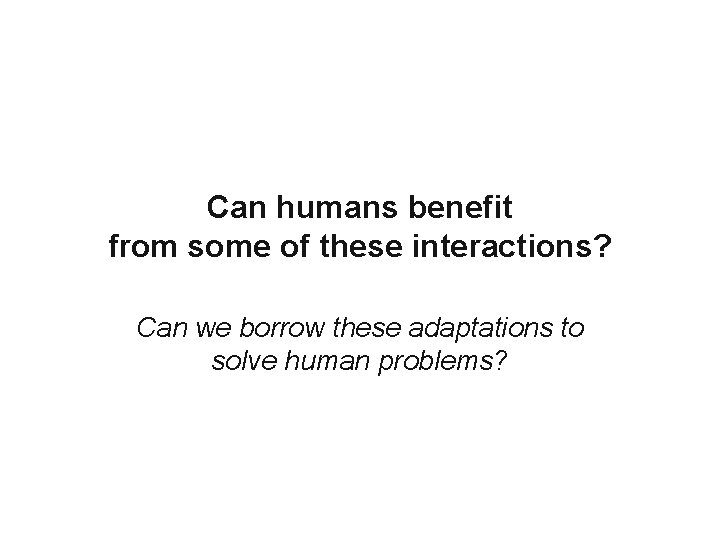 Can humans benefit from some of these interactions? Can we borrow these adaptations to
