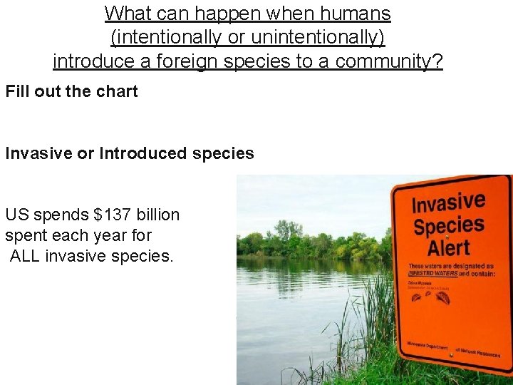 What can happen when humans (intentionally or unintentionally) introduce a foreign species to a