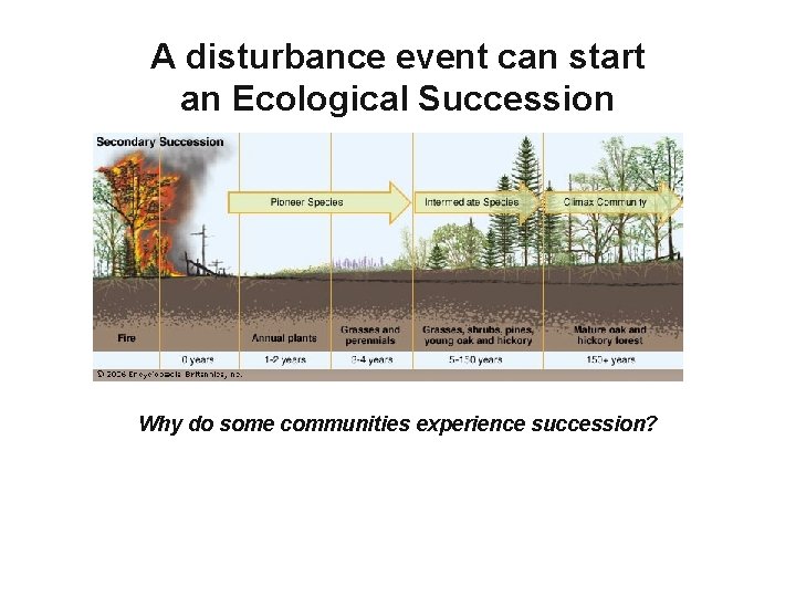 A disturbance event can start an Ecological Succession Why do some communities experience succession?