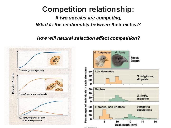 Competition relationship: If two species are competing, What is the relationship between their niches?