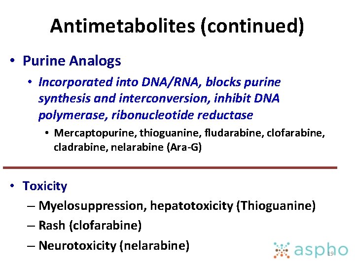 Antimetabolites (continued) • Purine Analogs • Incorporated into DNA/RNA, blocks purine synthesis and interconversion,