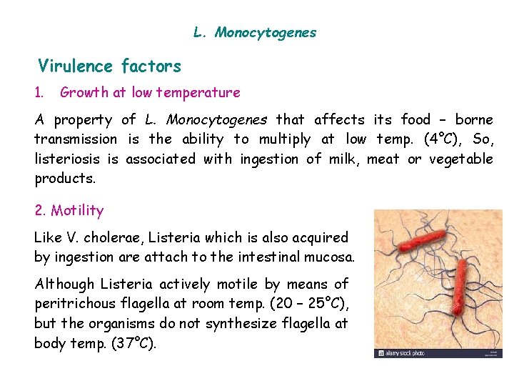 L. Monocytogenes Virulence factors 1. Growth at low temperature A property of L. Monocytogenes