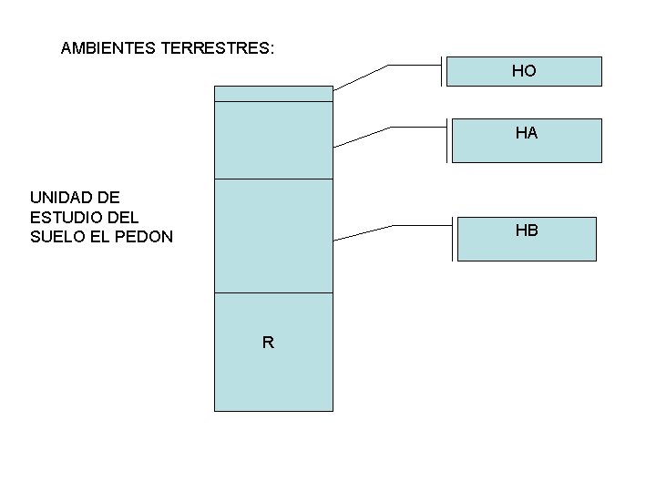 AMBIENTES TERRESTRES: HO HA UNIDAD DE ESTUDIO DEL SUELO EL PEDON HB R 
