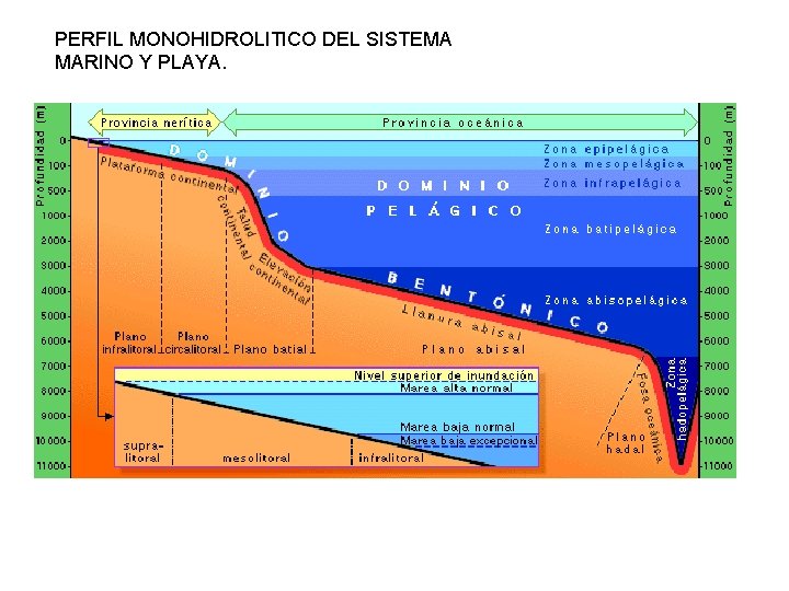 PERFIL MONOHIDROLITICO DEL SISTEMA MARINO Y PLAYA. 