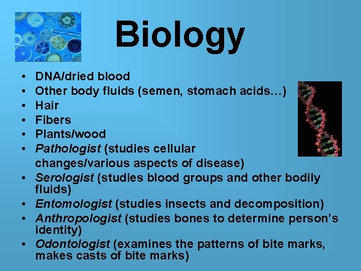 Biology • • • DNA/dried blood Other body fluids (semen, stomach acids…) Hair Fibers