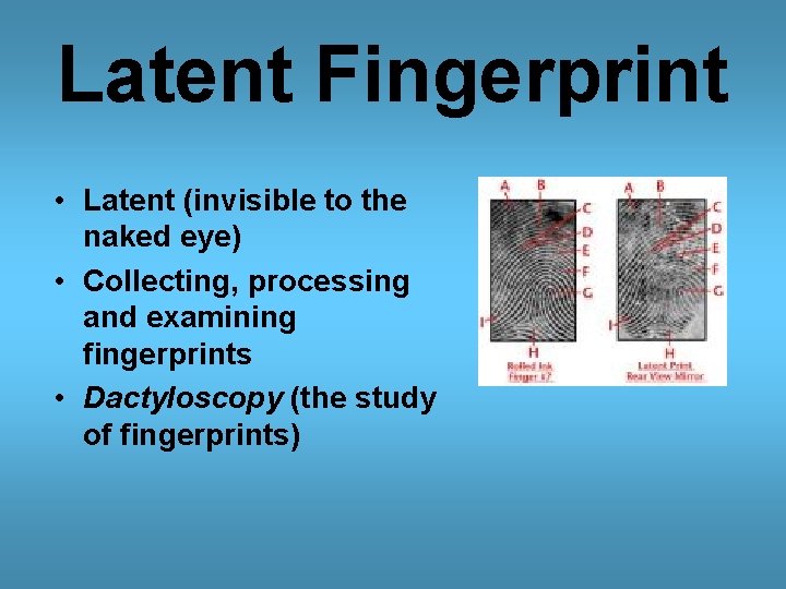 Latent Fingerprint • Latent (invisible to the naked eye) • Collecting, processing and examining